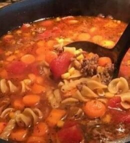 Vegetable Beef Noodle Soup